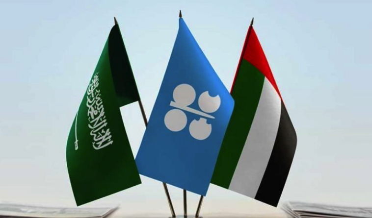 وزارة الطاقة الإمارتية تنفي التوصل إلى اتفاق مع السعودية بشأن إنتاج النفط